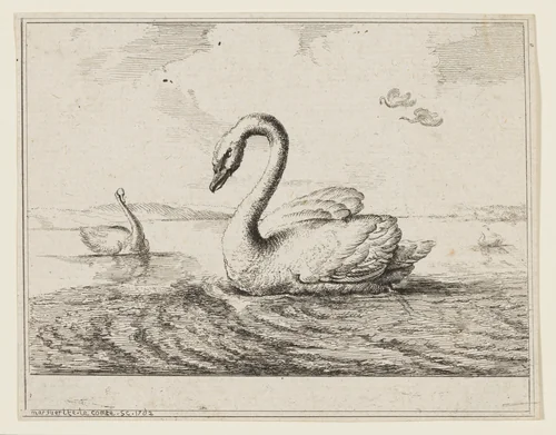 Swans on Open Water by Marguerite Le Comte, print, 1762