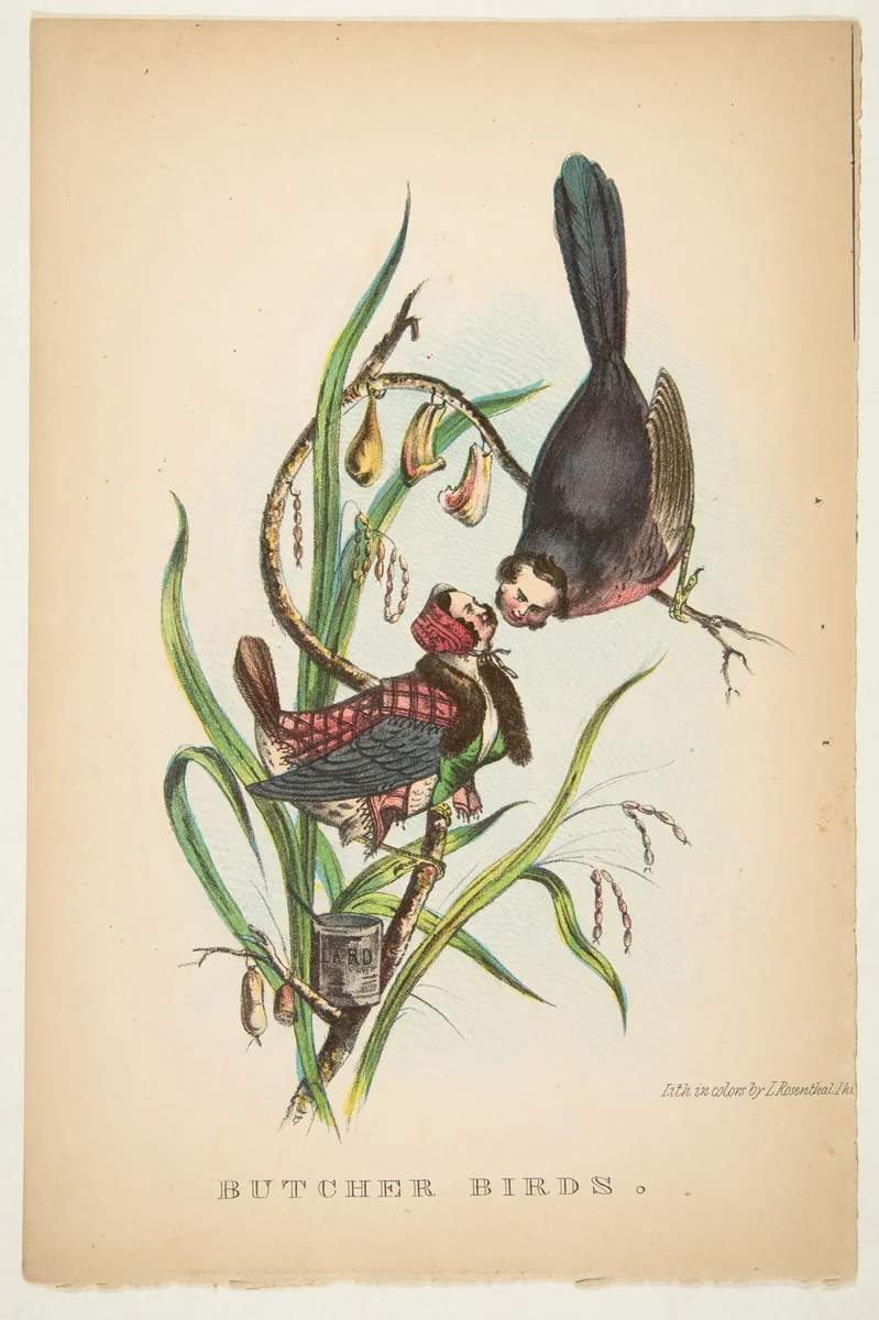 Butcher Birds, from "The Comic Natural History of the Human Race" by Henry Louis Stephens, print, 1851