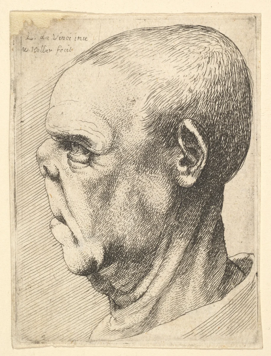 Grotesque old man with flattened nose in profile to left by Wenceslaus Hollar, print, 1644-1652