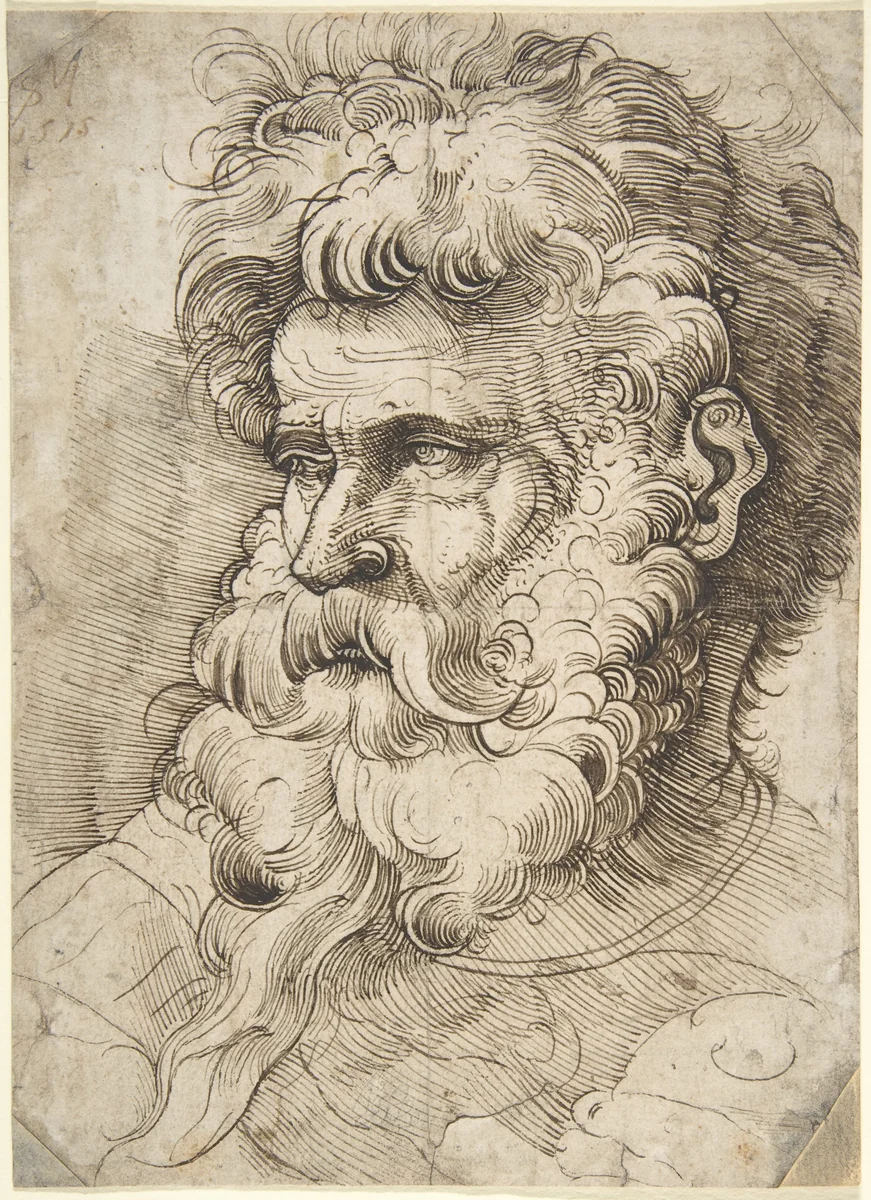 Head of a Bearded Man by Monogrammist SM, drawing, 1515