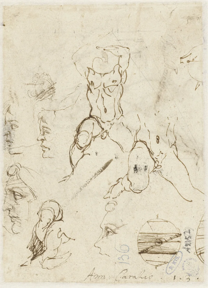 Profielschetsen en mannelijk naakt by Unknown, drawing, 1570-1609