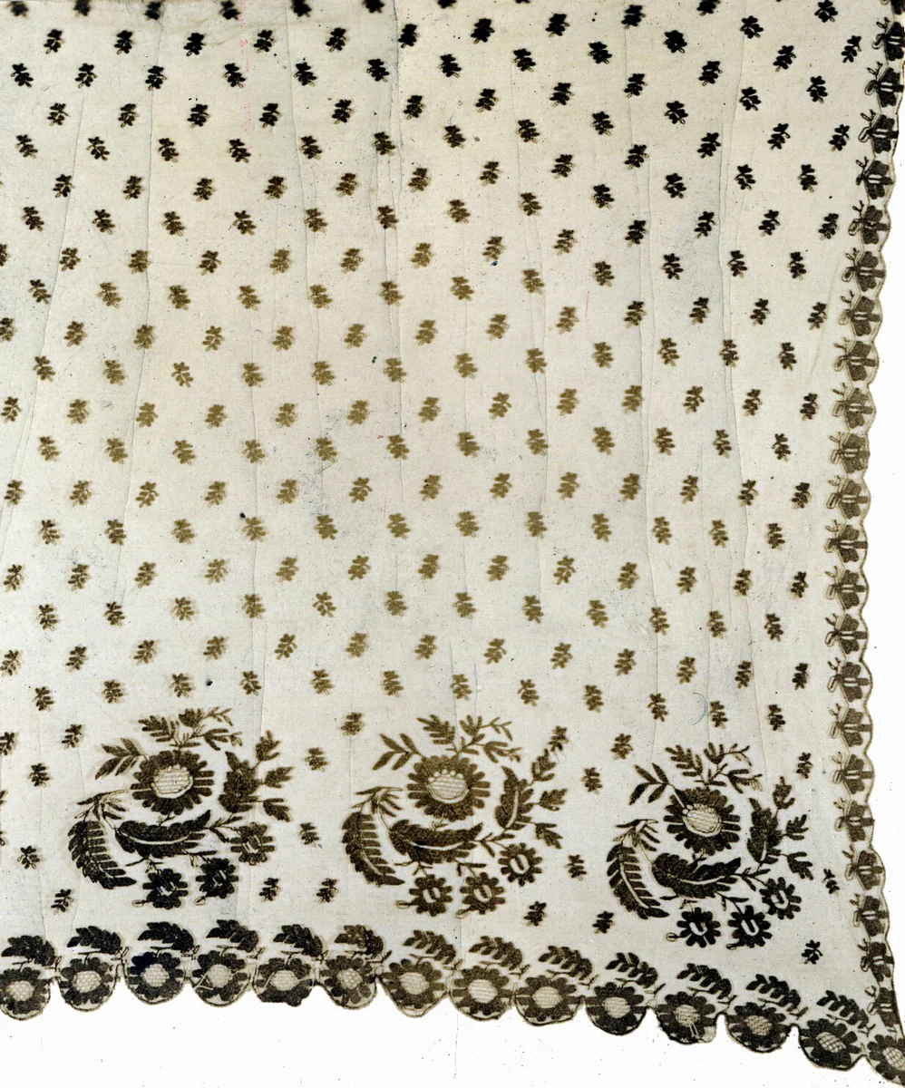 Veil by Mary Chadbourne Keith Norton, textile, 1800-1820
