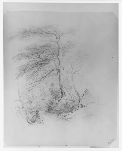 Landscape (from McGuire Scrapbook) by James Smillie, artwork, 1840