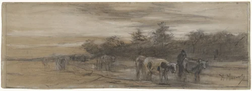 Koeien bij avond by Anton Mauve, drawing, 1848-1888