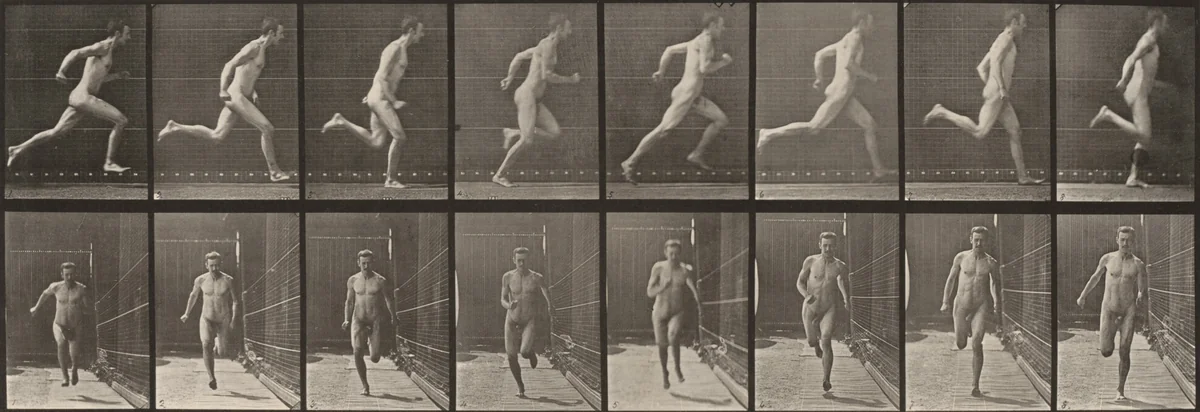 Plate Number 67. Running by Eadweard Muybridge, photograph, 1887