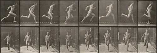 Plate Number 67. Running by Eadweard Muybridge, photograph, 1887