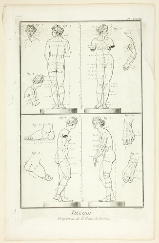 Design: Proportions of the Medici Venus, from Encyclopédie by Benoît-Louis Prévost, print, 1762-1777