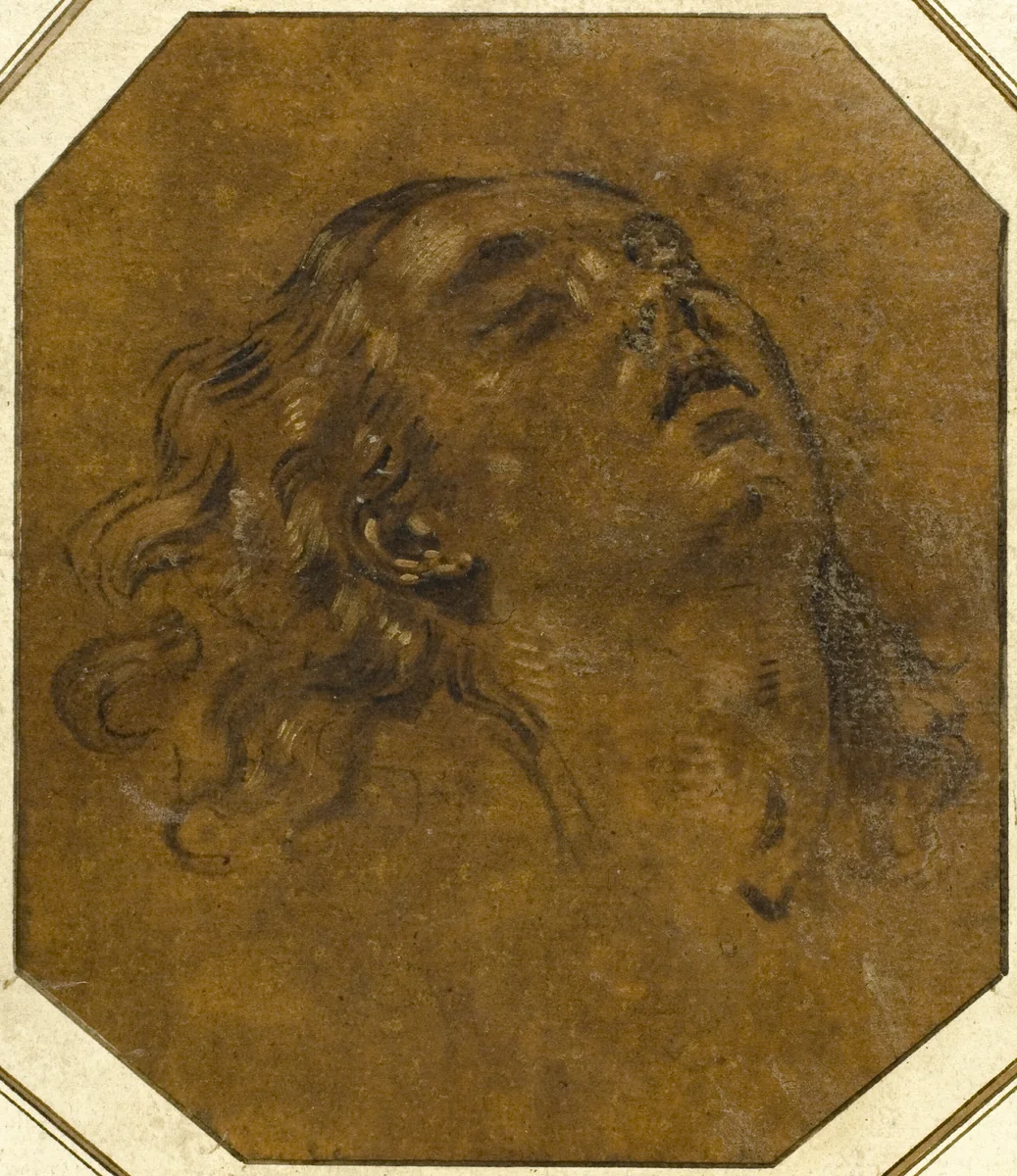 Female Head by Giovan Gioseffo Dal Sole, drawing, 1674-1719