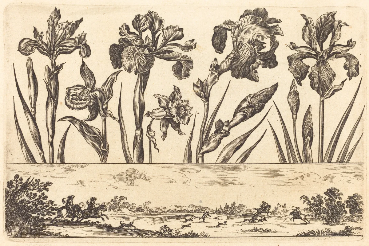Flower Print no.3 by Nicolas Cochin, print, 1645