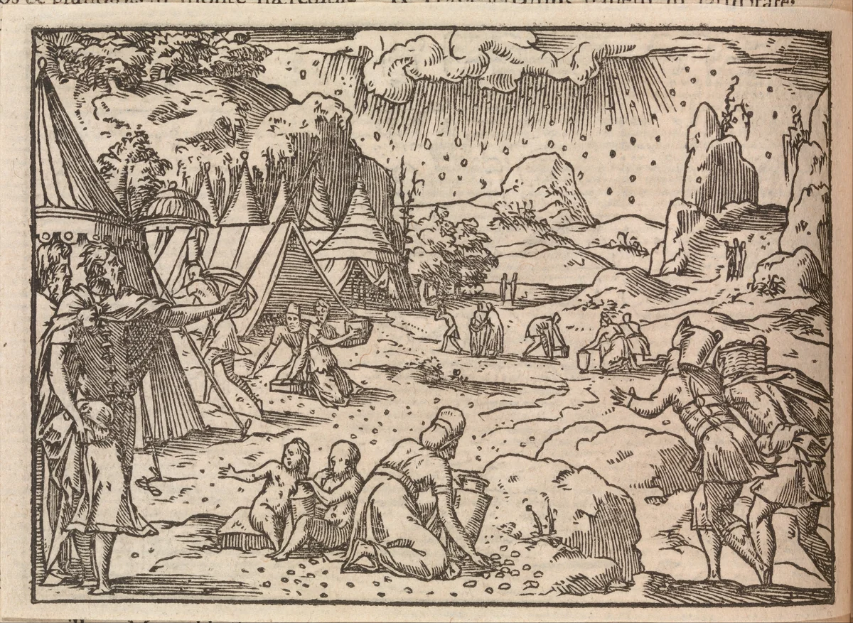 Biblia Sacra. . .Lugduni by Jean de Tournes, book, 1554