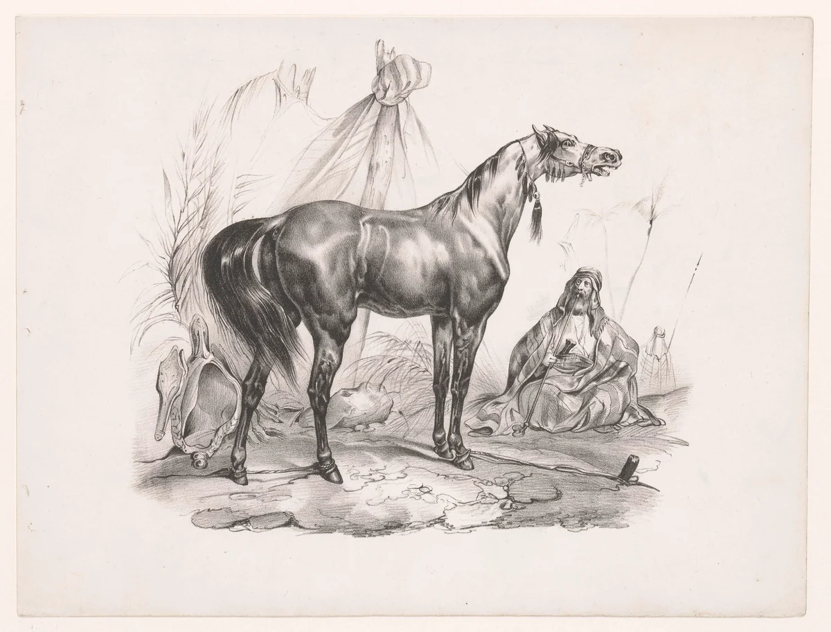 Arabisch paard by anonymous, print, 1835