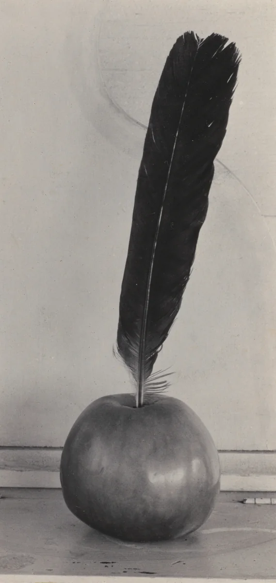 Crow's Feather and Apple by Alfred Stieglitz, photograph, 1924