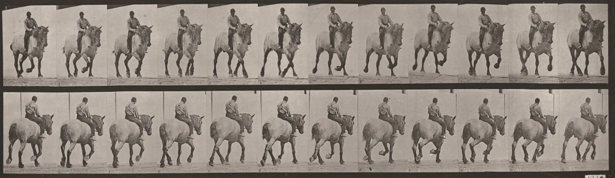 Plate Number 599. "Dusel" trotting, bareback by Eadweard Muybridge, photograph, 1887