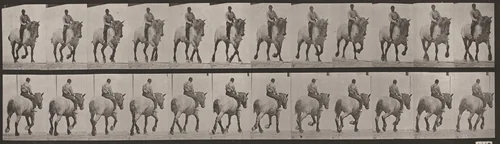 Plate Number 599. "Dusel" trotting, bareback by Eadweard Muybridge, photograph, 1887