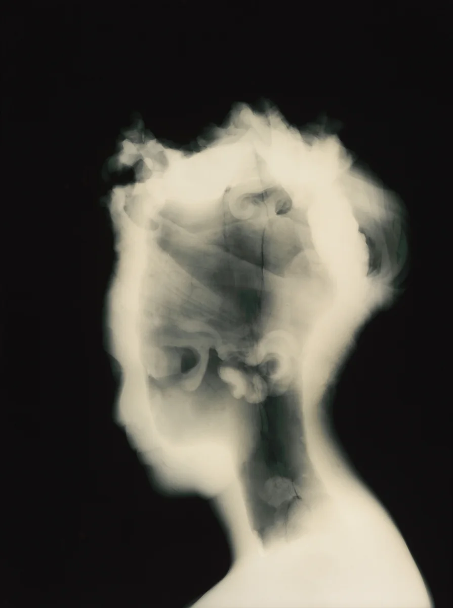 History's Shadow GM12 by David Maisel, photograph, 2010