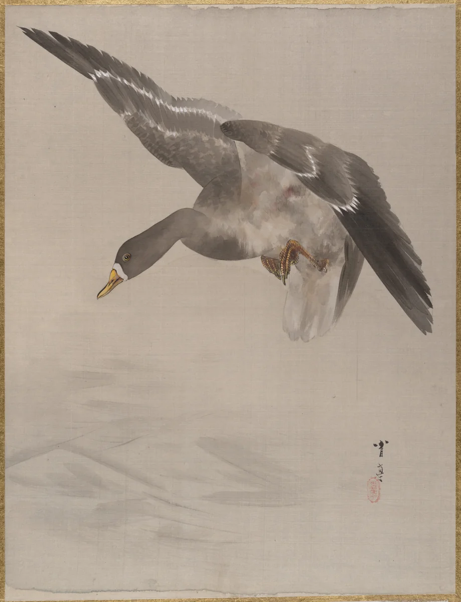 Duck by Watanabe Seitei (渡辺省亭), painting, 1877-1897