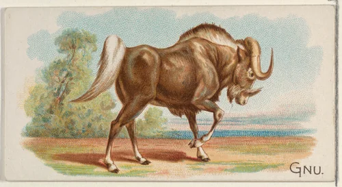 Gnu, from the Quadrupeds series (N21) for Allen & Ginter Cigarettes by Allen & Ginter, print, 1890