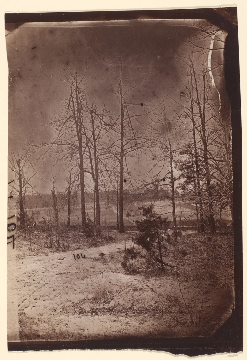 [The Wilderness Battlefield] by G. O. Brown, photograph, 1866