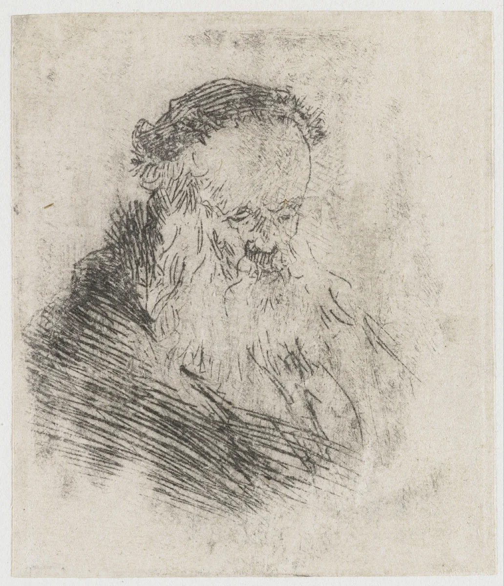 Bearded Old Man with High Forehead by Rembrandt van Rijn, print, 1629