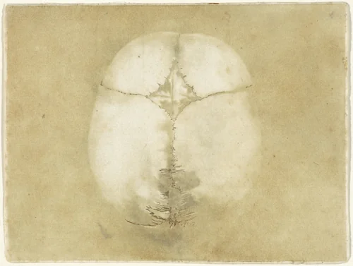 Prenten van het brein en het hart by Jan l' Admiral, print, 1733-1738