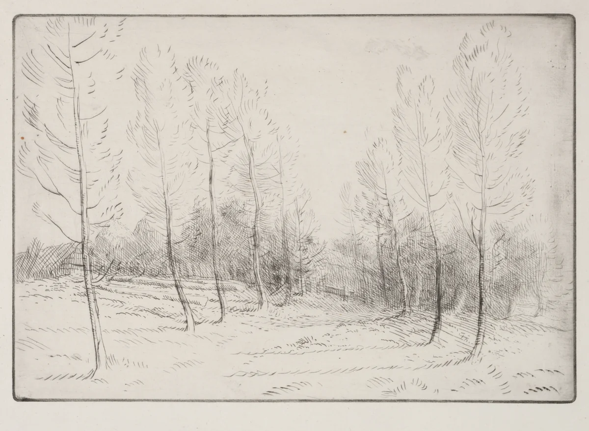 Avenue of Poplars by Alphonse Legros, print, 1857-1911