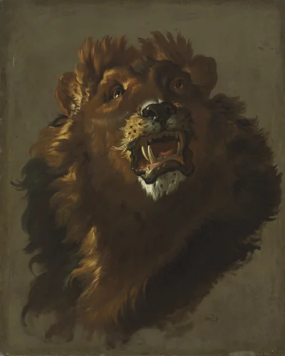 Lion by Giuseppe Baldrighi, painting, 1750-1759