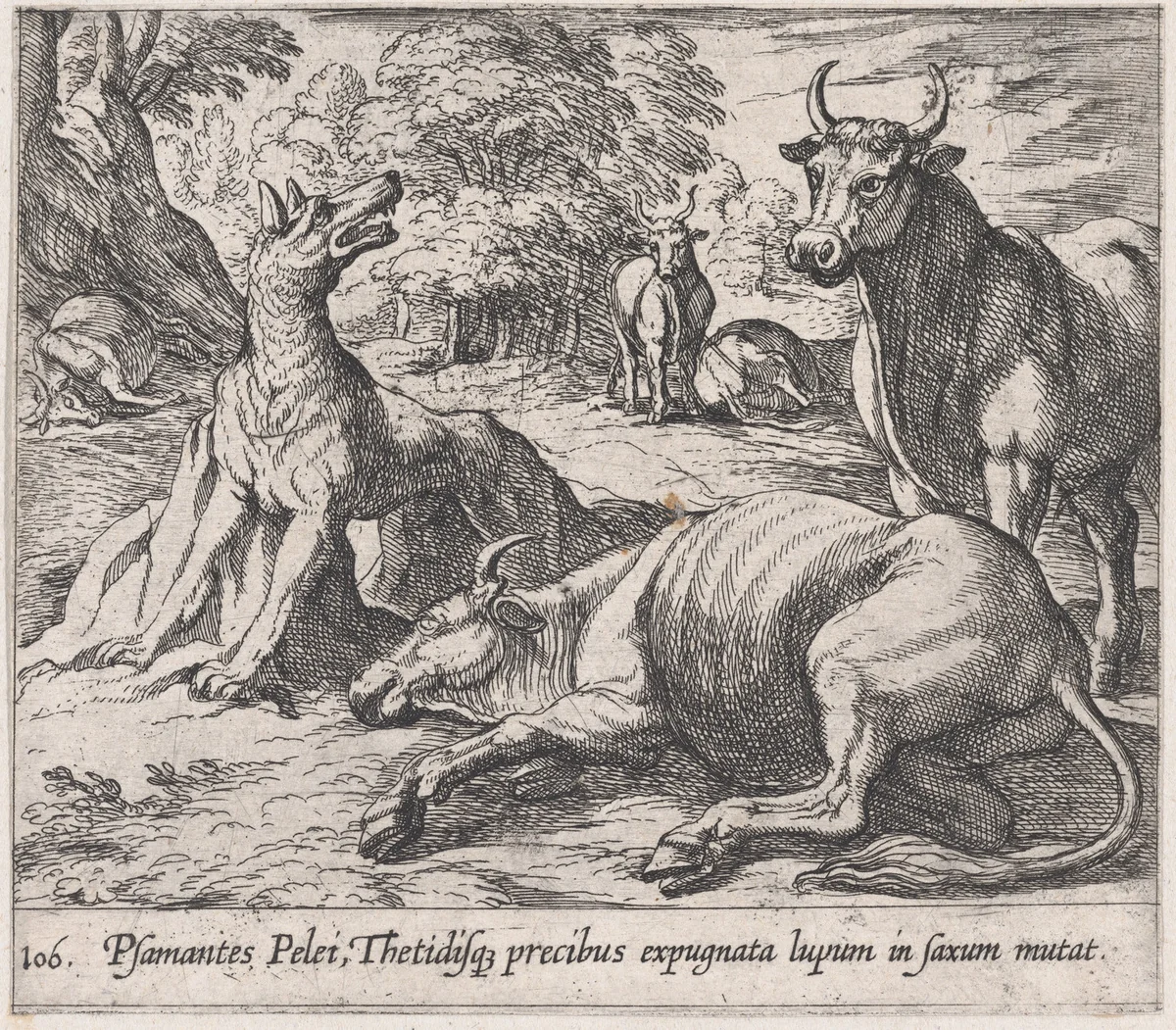 Plate 106: Peleus's Cattle, ad the Sea Wolf Turned to Marble (Psamantes Pelei, Thetidisq precibus expugnata lupum in saxum mutat), from Ovid's 'Metamorphoses' by Antonio Tempesta, print, 1606