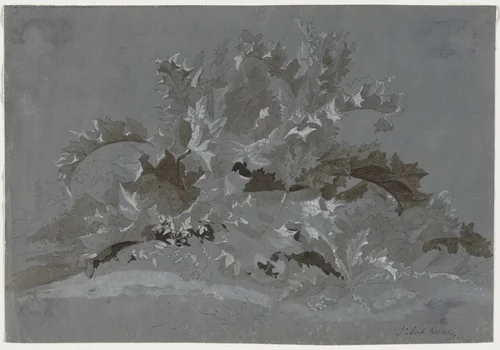 Study of Weeds by Jean Antoine Linck, drawing, 1800-1850