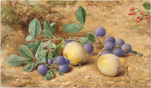 Plums by John William Hill, artwork, 1870