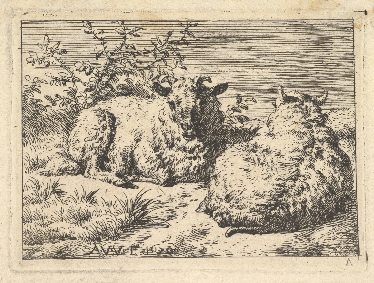 Two Recumbent Sheep by Adriaen van de Velde, print, 1670