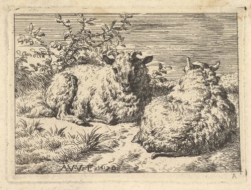 Two Recumbent Sheep by Adriaen van de Velde, print, 1670
