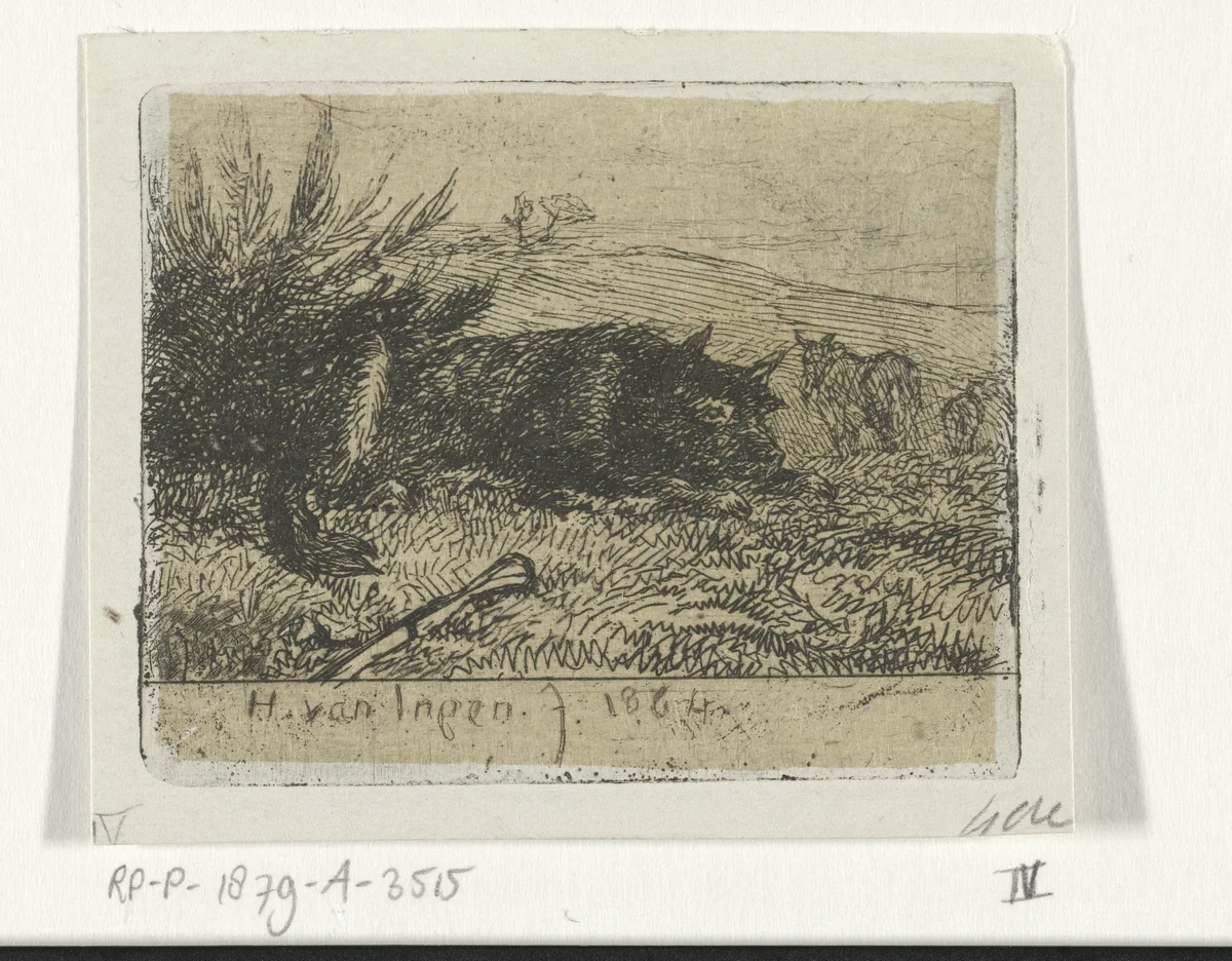 Liggende herdershond by Henry van Ingen, print, 1864