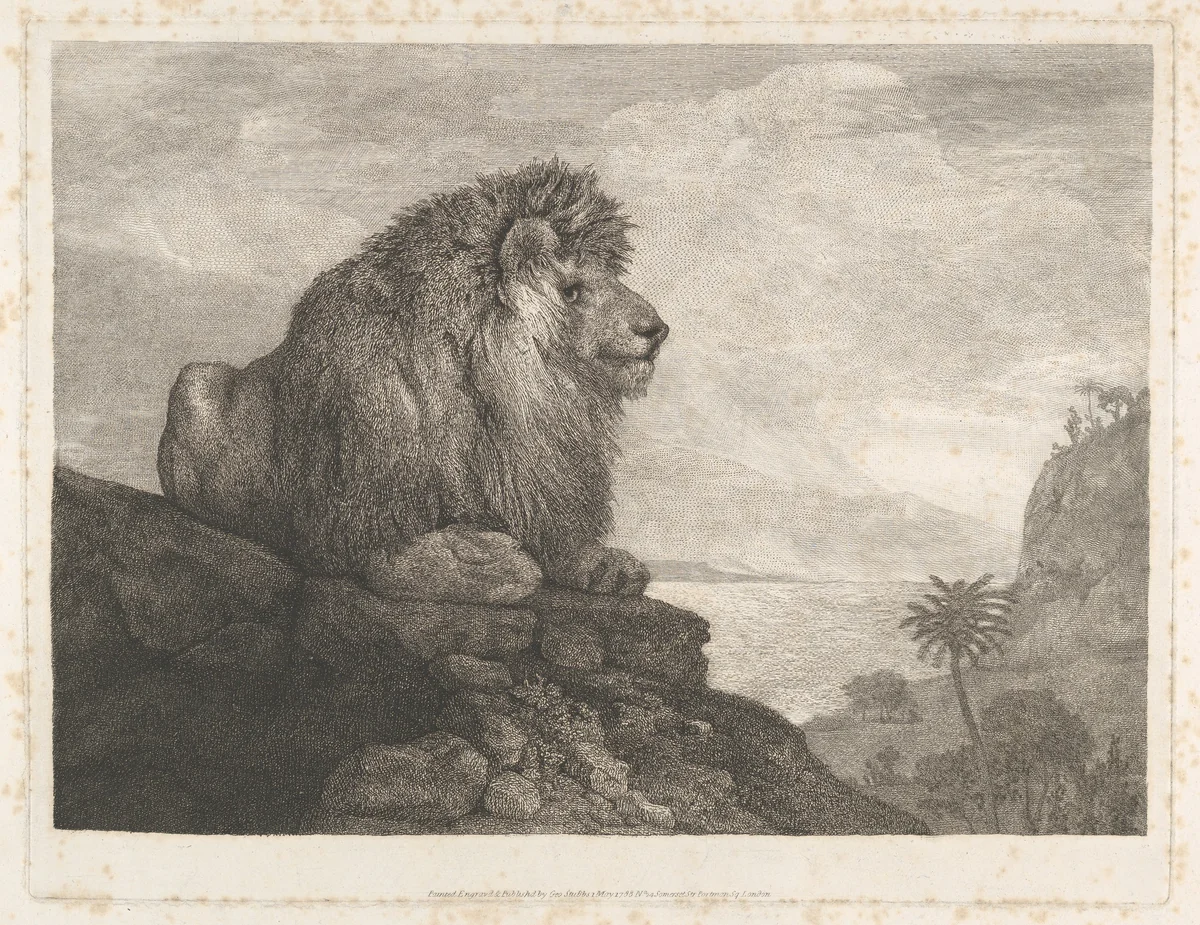 A Lion (A Lion Resting on a Rock) by George Stubbs, print, 1788