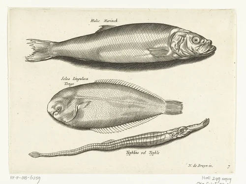 Haring, tong en zeenaald by anonymous, print, 1581-1652