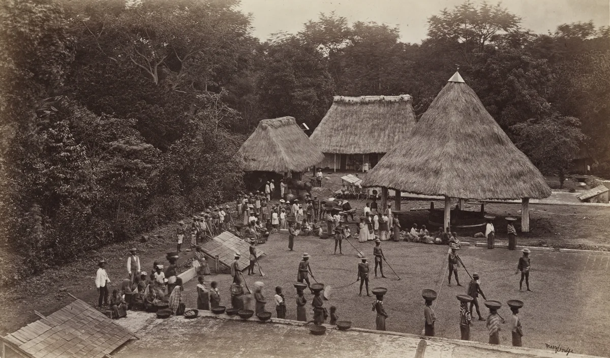 Coffee Hacienda, San Isidro by Eadweard Muybridge, photograph, 1875