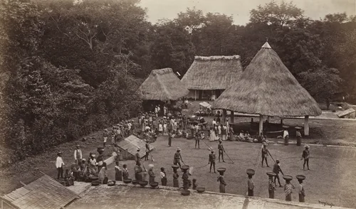 Coffee Hacienda, San Isidro by Eadweard Muybridge, photograph, 1875