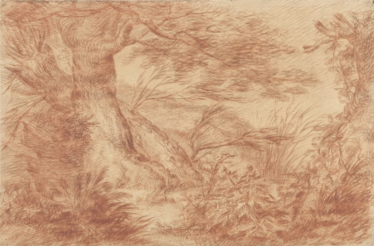 Planten en grassen bij oude wilgenstammen by Johann Elias Ridinger, drawing, 1724