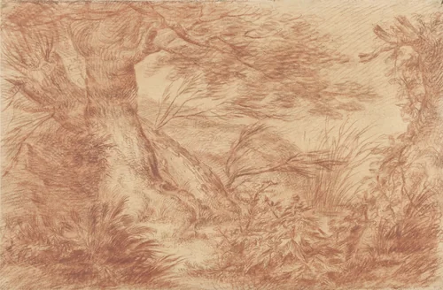 Planten en grassen bij oude wilgenstammen by Johann Elias Ridinger, drawing, 1724