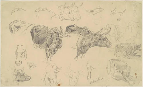 Studies of Oxen by Walter Shirlaw, drawing, 1870-1899