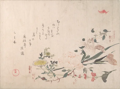 Rose, Iris, Primrose and Daisy by Kubo Shunman (窪俊満), print, 1815