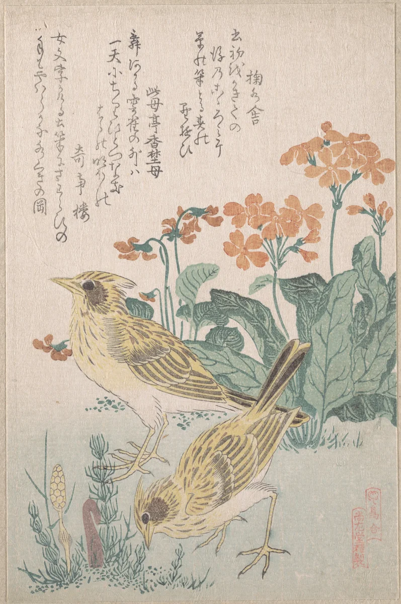 Skylarks and Primroses,” from the Series An Array of Birds (Tori awase), from Spring Rain Surimono Album (Harusame surimono-jō, vol. 3) by Kubo Shunman (窪俊満), print, 1800-1820