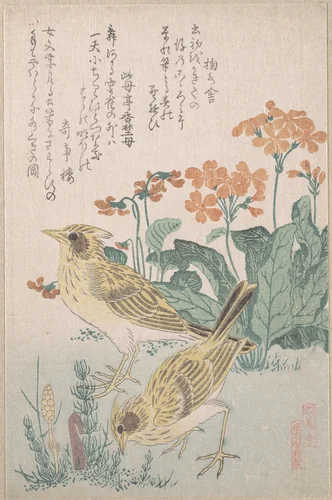 Skylarks and Primroses,” from the Series An Array of Birds (Tori awase), from Spring Rain Surimono Album (Harusame surimono-jō, vol. 3) by Kubo Shunman (窪俊満), print, 1800-1820