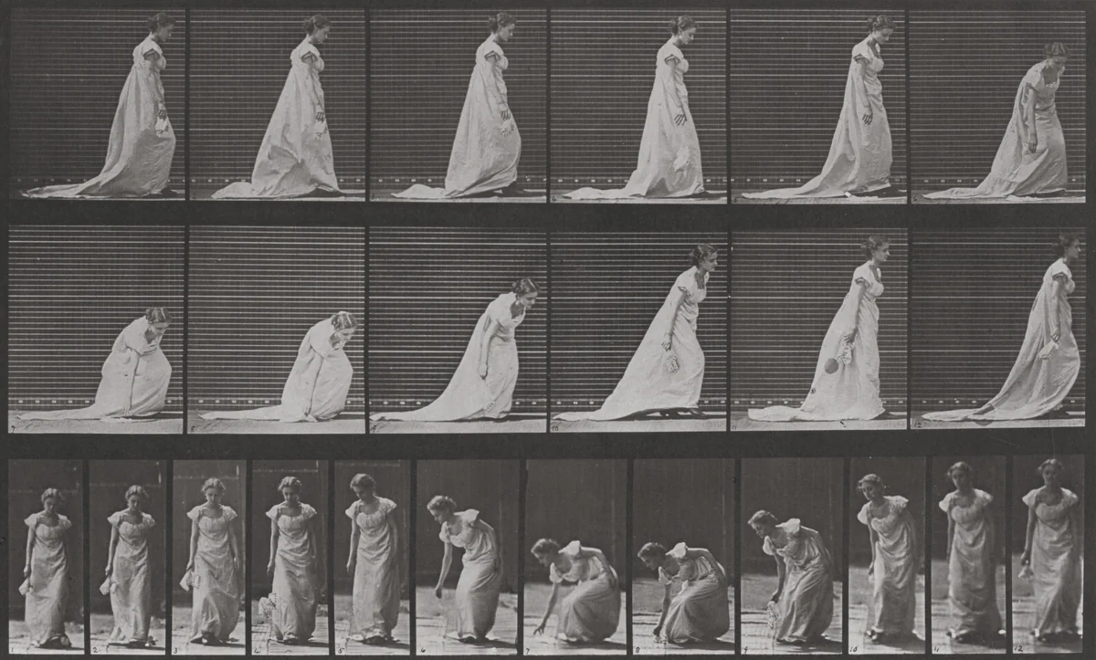 Plate Number 209. Stooping and lifting a handkerchief by Eadweard Muybridge, photograph, 1887