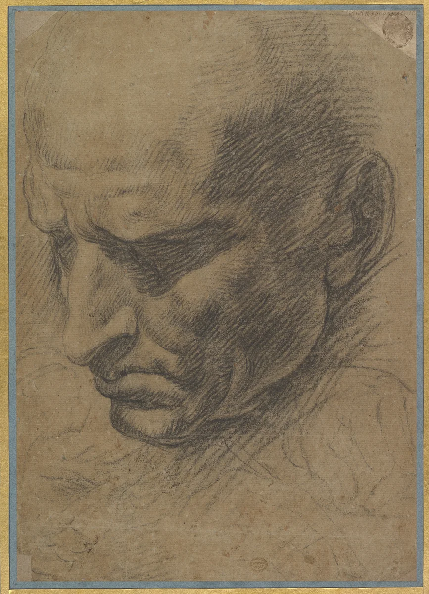 Head of a Man by anonymous, drawing, 1500-1600