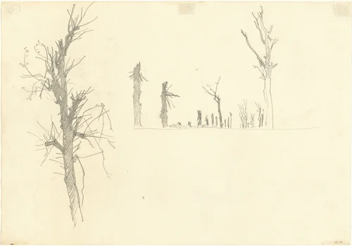 Devastated Trees [verso] by John Singer Sargent, drawing, 1918