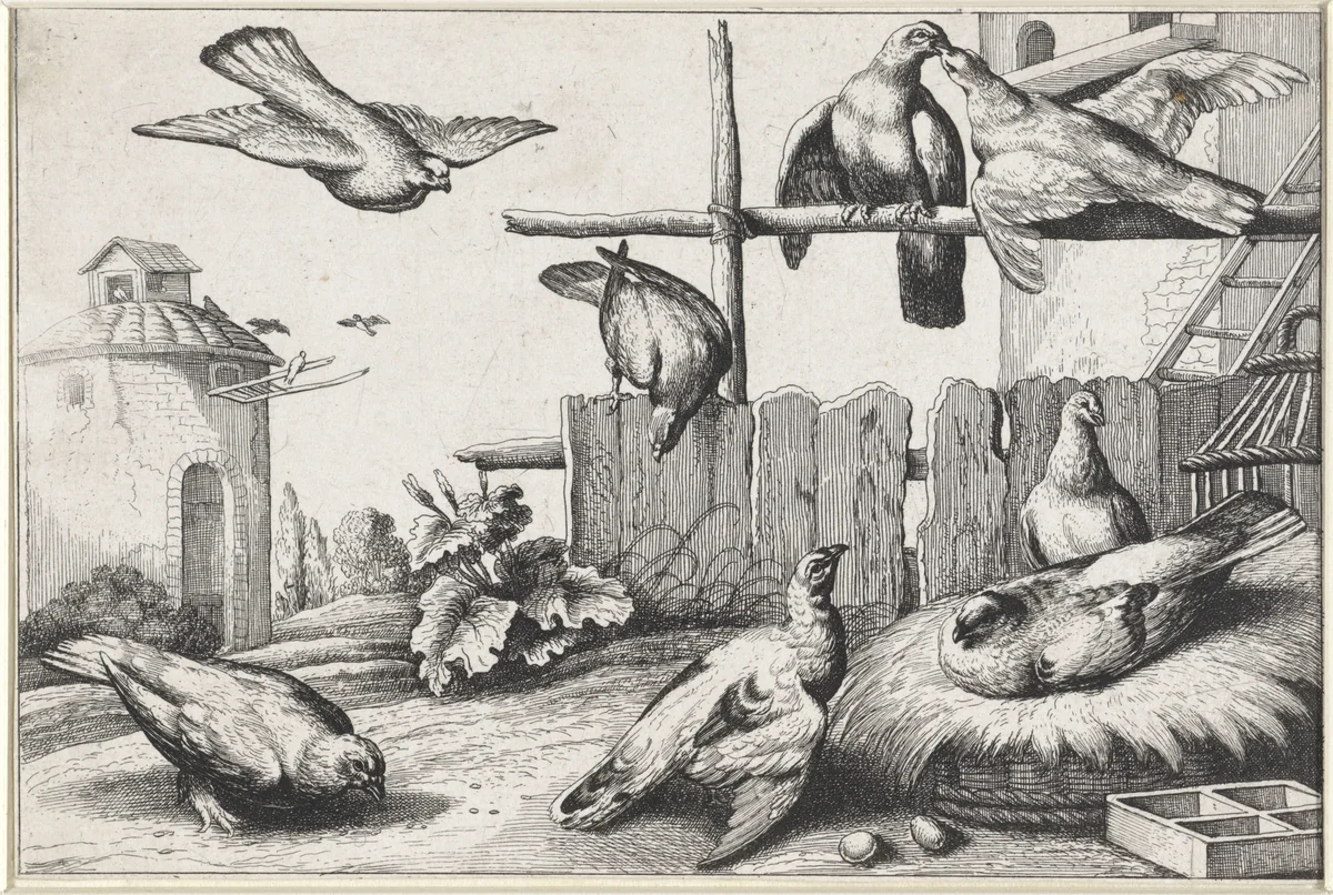 Duiven bij een duiventil by anonymous, print, 1654-1712
