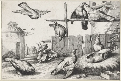 Duiven bij een duiventil by anonymous, print, 1654-1712