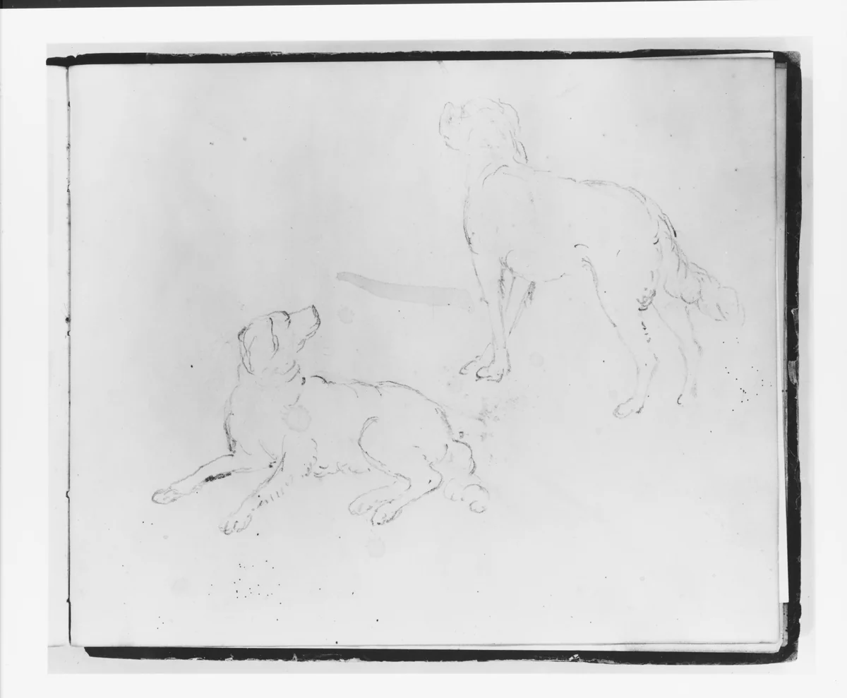 Two Studies of a Dog: Lying Down and Three Quarter Rear View Standing (from Sketchbook) by Francis William Edmonds, artwork, 1835-1839