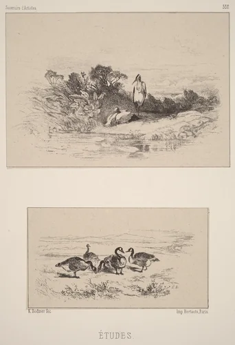 Etudes by Karl Bodmer, print, 1809-1893