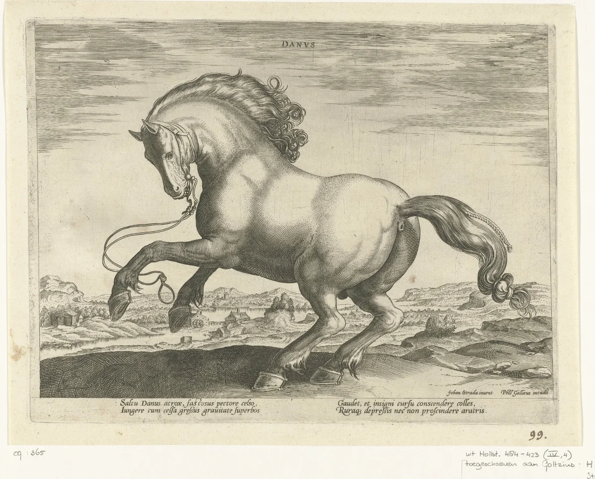 Paard uit Denemarken (Danus) by Unknown, print, 1578-1582
